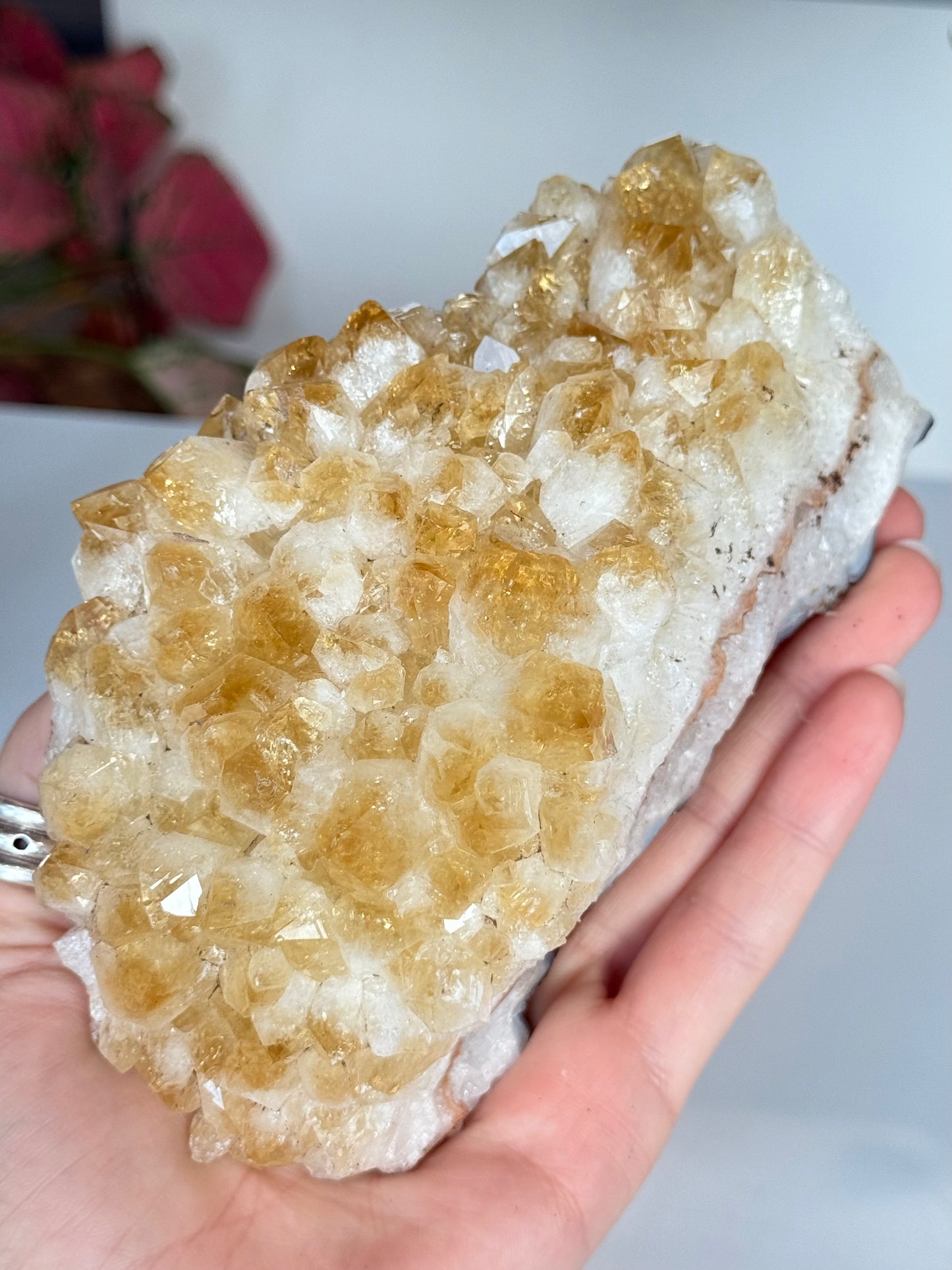 Citrine Cluster (Heat-Treated) / Clúster de Citrino (Tratado con Calor)