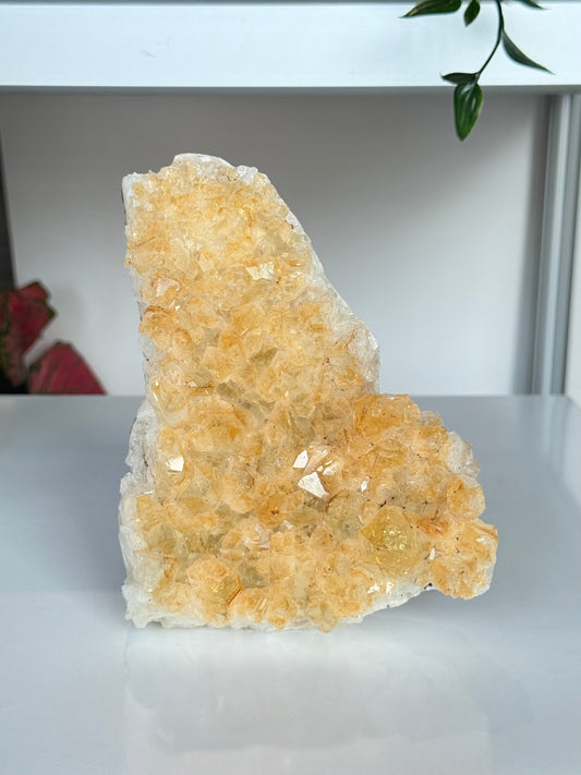 Citrine Cluster (Heat-Treated) / Clúster de Citrino (Tratado con Calor)