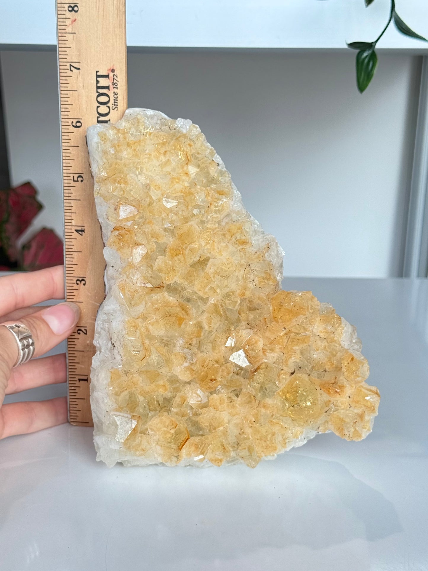 Citrine Cluster (Heat-Treated) / Clúster de Citrino (Tratado con Calor)