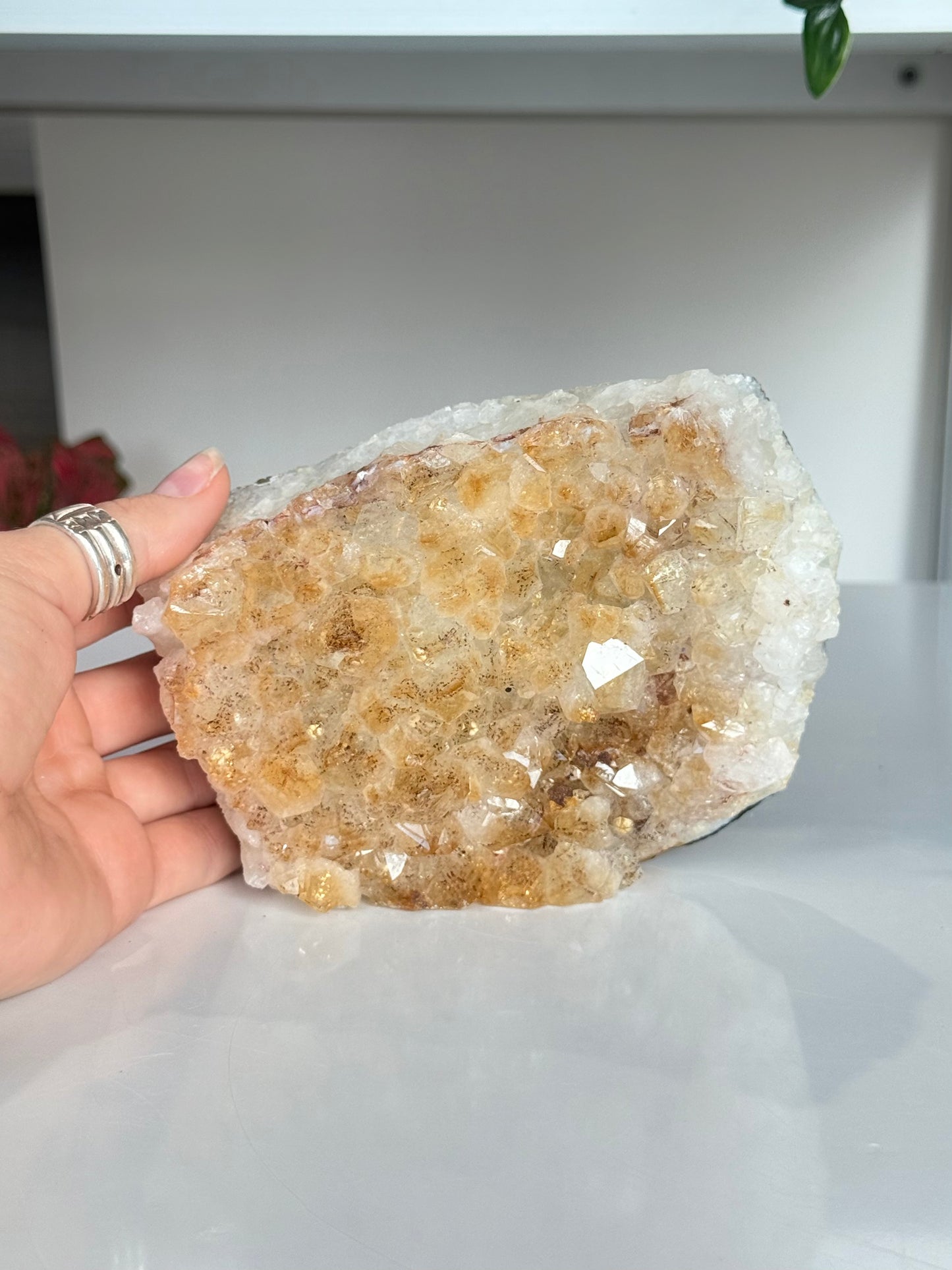 Citrine Cluster (Heat-Treated) / Clúster de Citrino (Tratado con Calor)