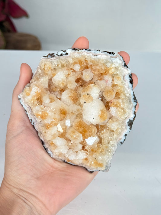 Citrine Cluster (Heat-Treated) / Clúster de Citrino (Tratado con Calor)