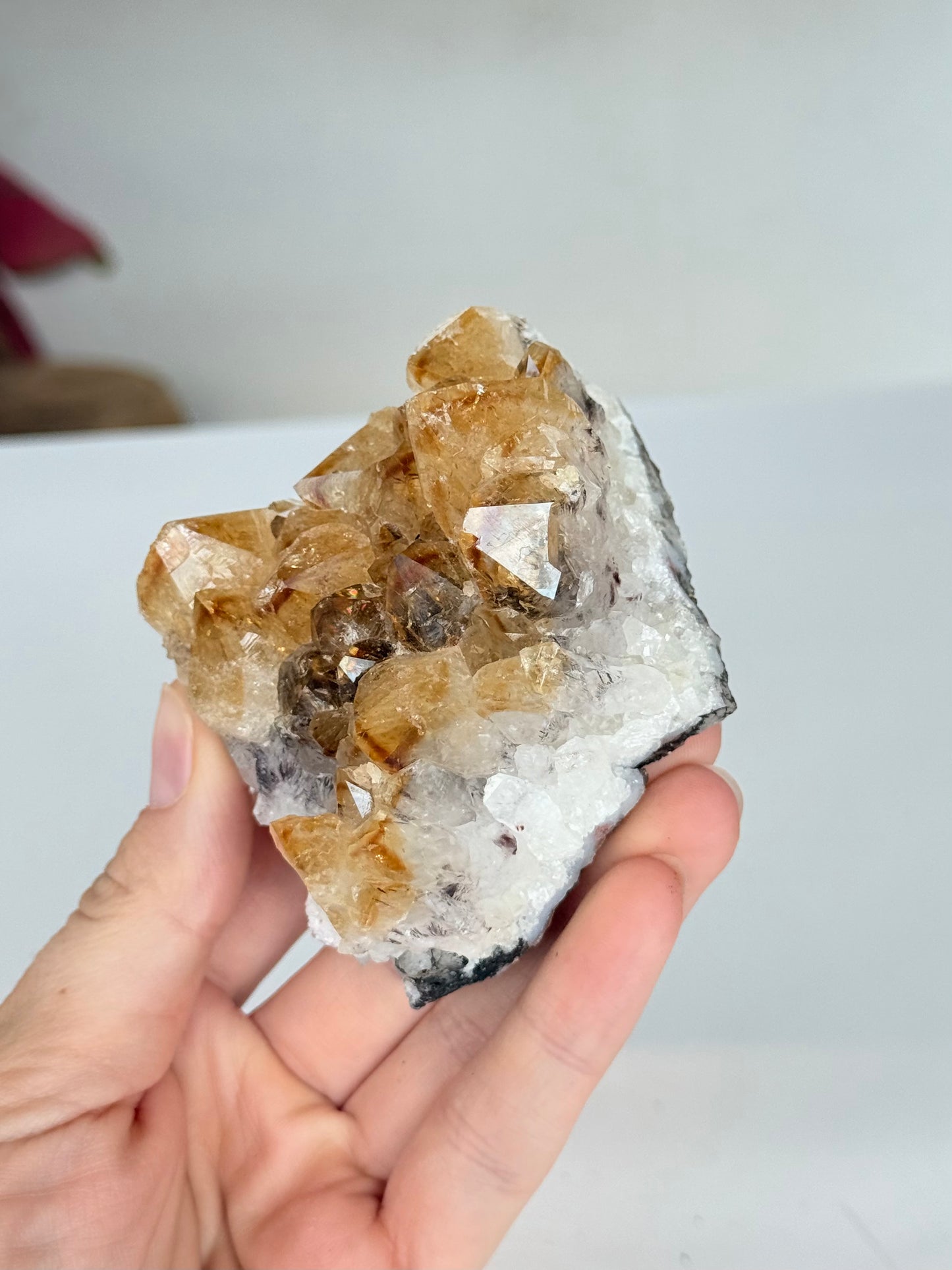 Citrine Cluster (Heat-Treated) / Clúster de Citrino (Tratado con Calor)