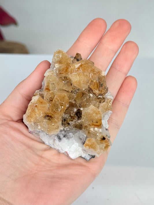 Citrine Cluster (Heat-Treated) / Clúster de Citrino (Tratado con Calor)
