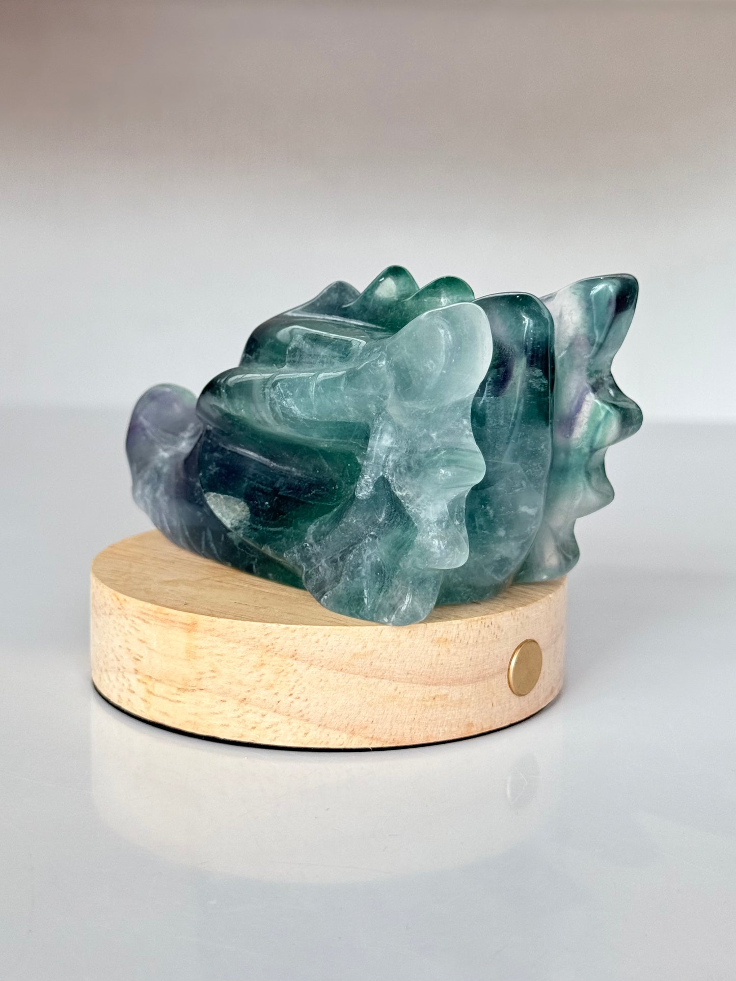Fluorite Dragon Head ( Include Lamp )