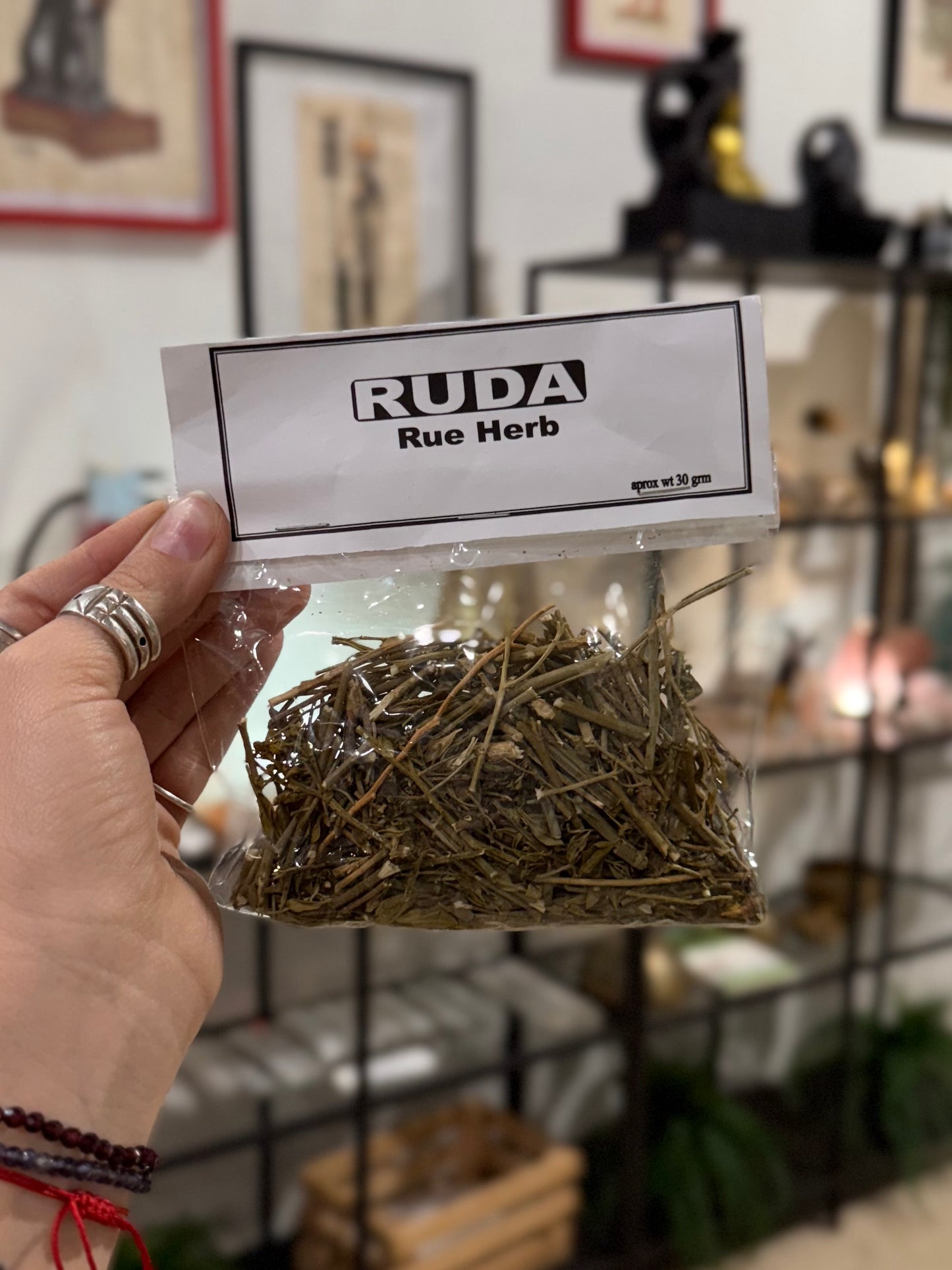 Ruda Seca ( Rue Herb )