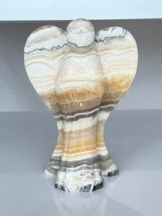 Aragonite Zebra Angel  ( Mexico )