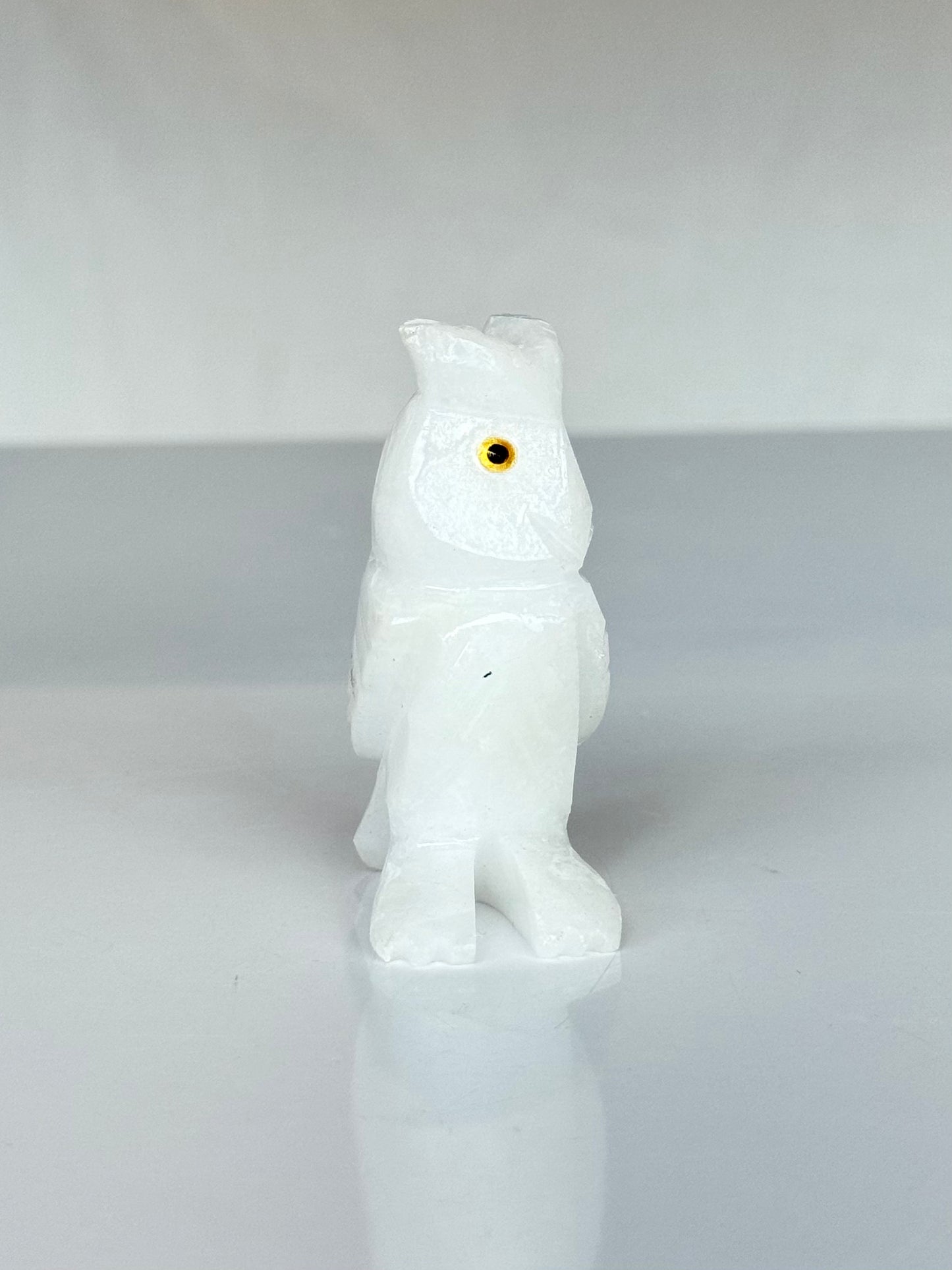 White Onyx Owl ( Mexico )