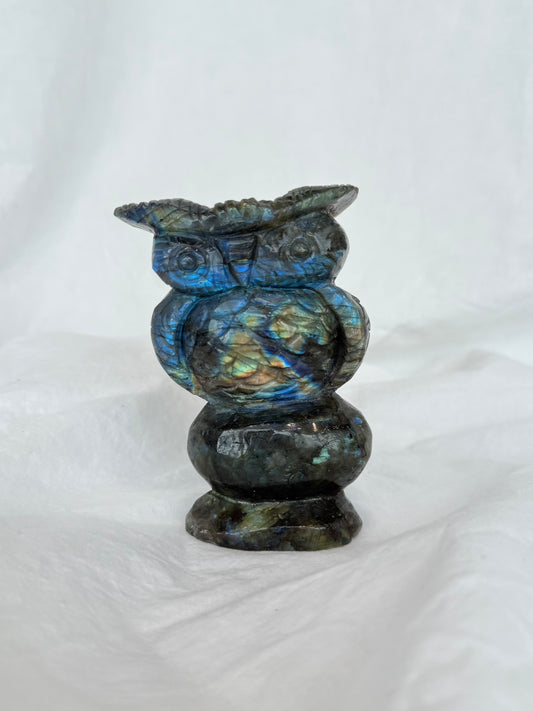 Labradorite Owl ( Madagascar )