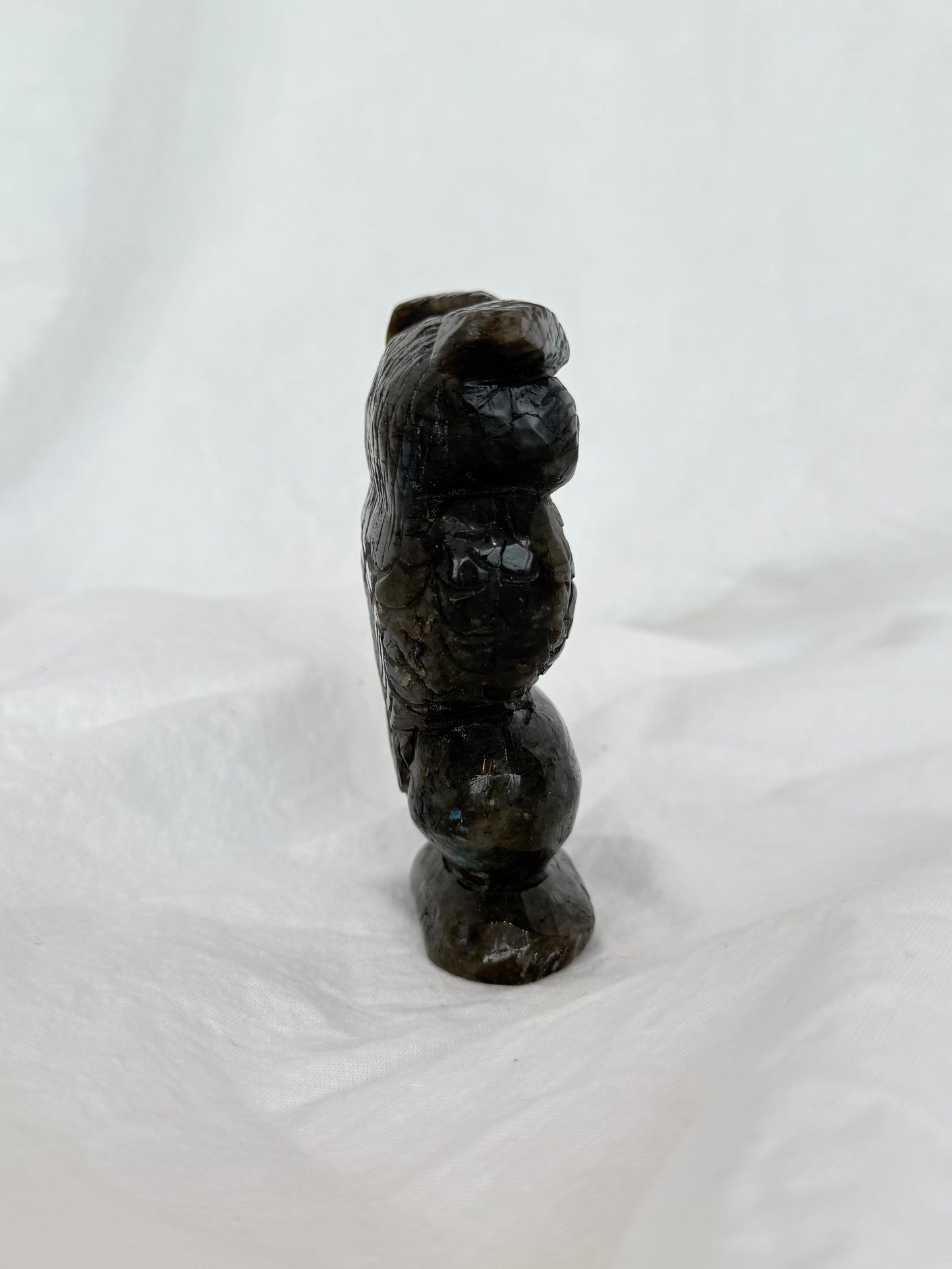 Labradorite Owl ( Madagascar )