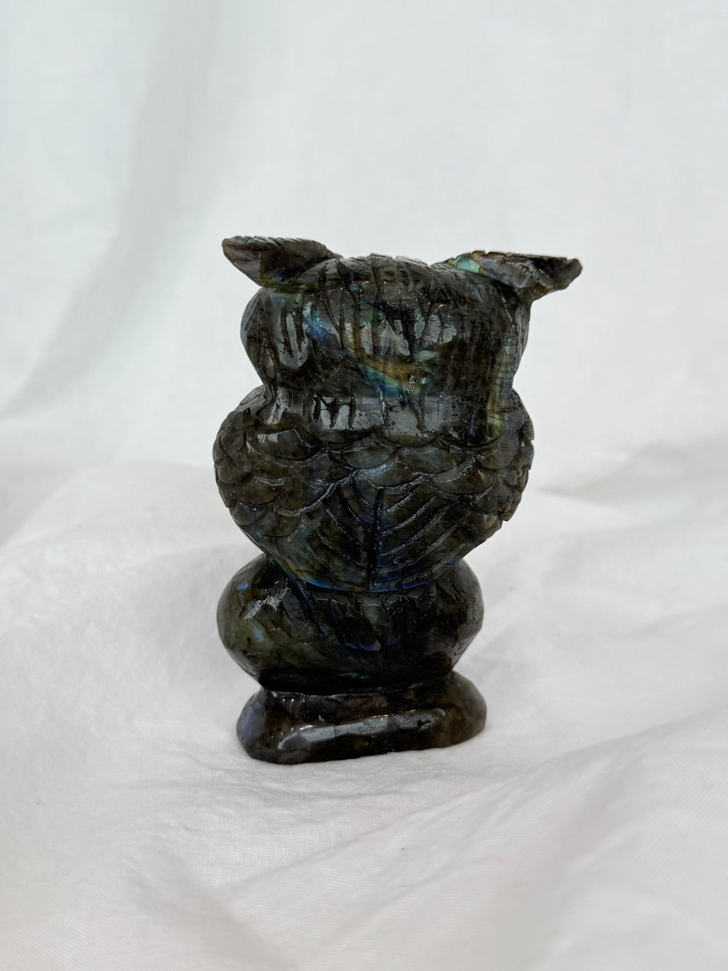 Labradorite Owl ( Madagascar )