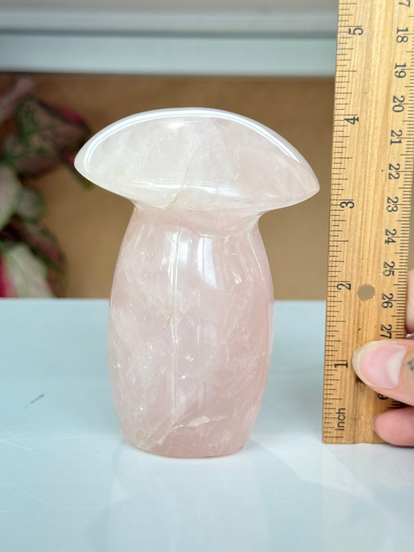 4” Rose Quartz Mushroom / Hongo de Cuarzo Rosa de 4”