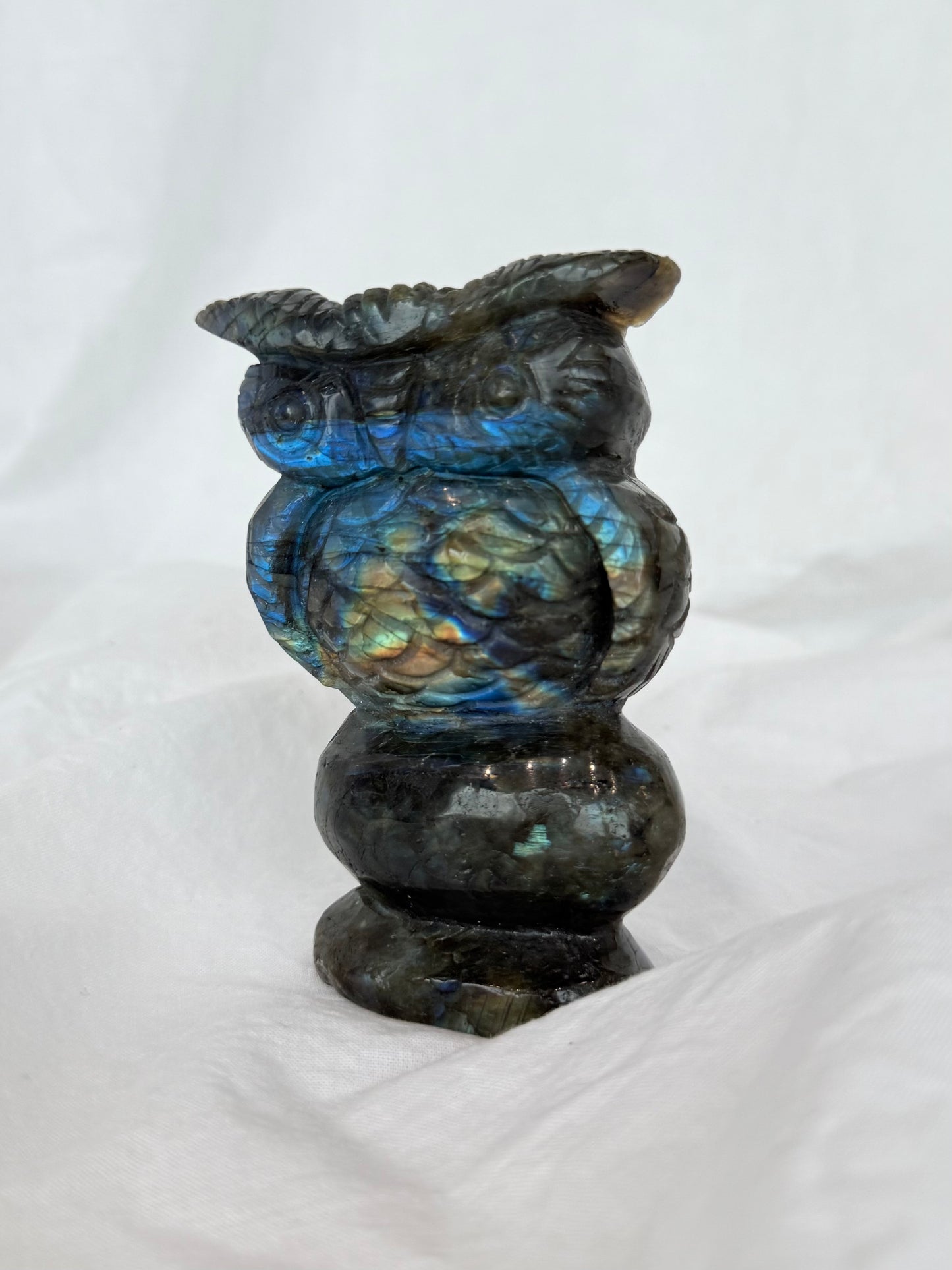 Labradorite Owl ( Madagascar )