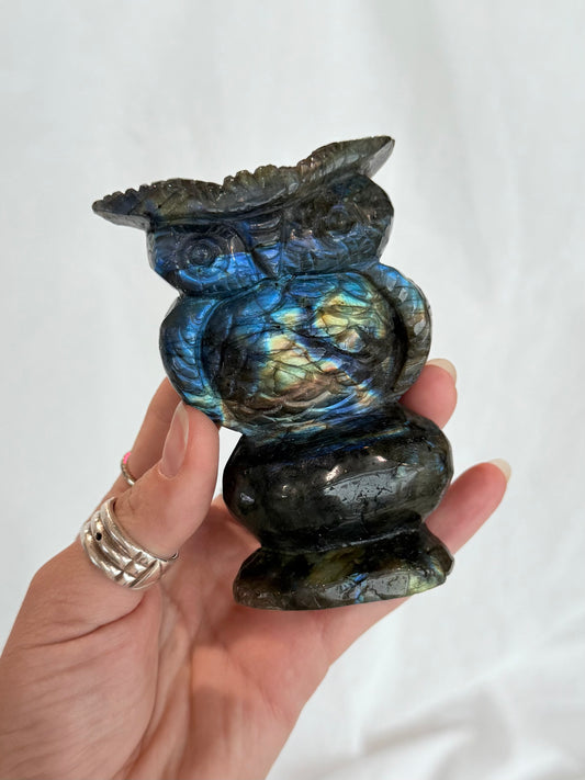 Labradorite Owl ( Madagascar )