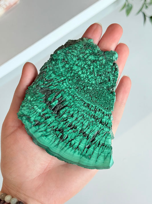 Polished Malachite Slab | Laja Pulida de Malaquita