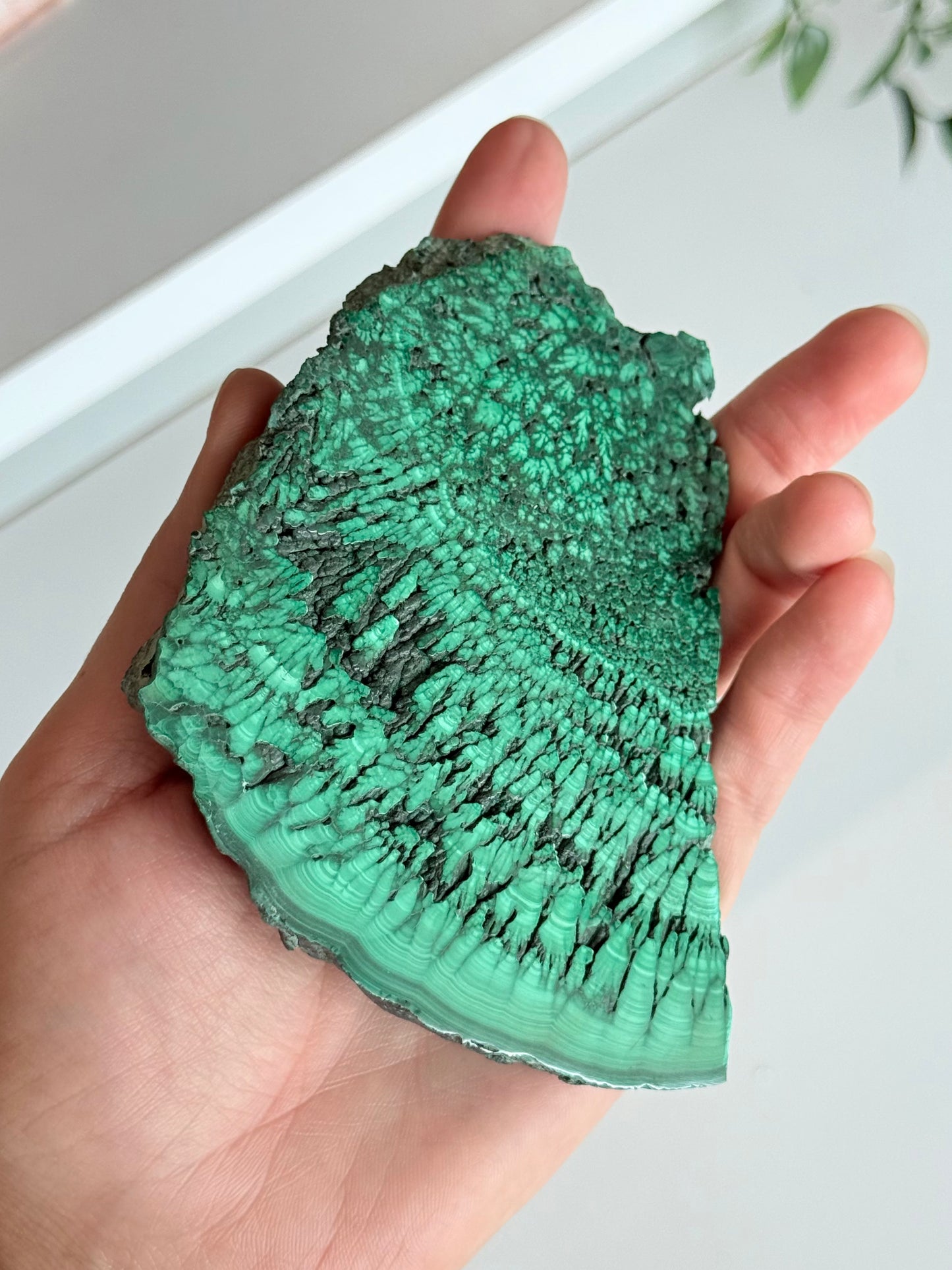 Polished Malachite Slab | Laja Pulida de Malaquita