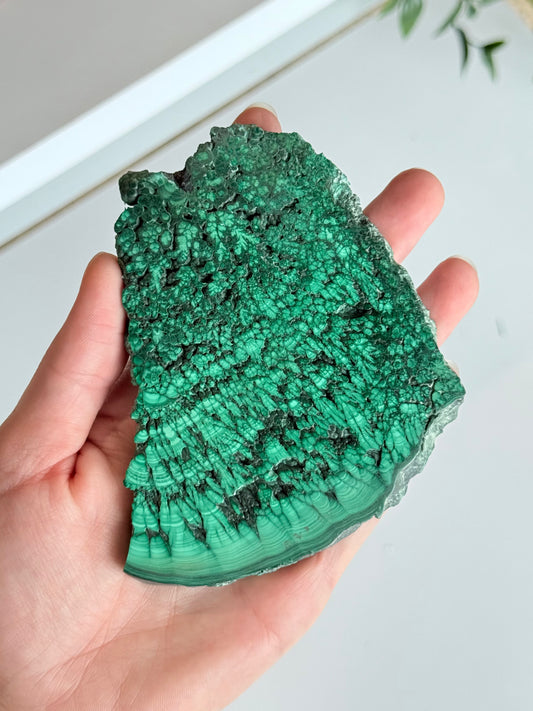 Polished Malachite Slab | Laja Pulida de Malaquita