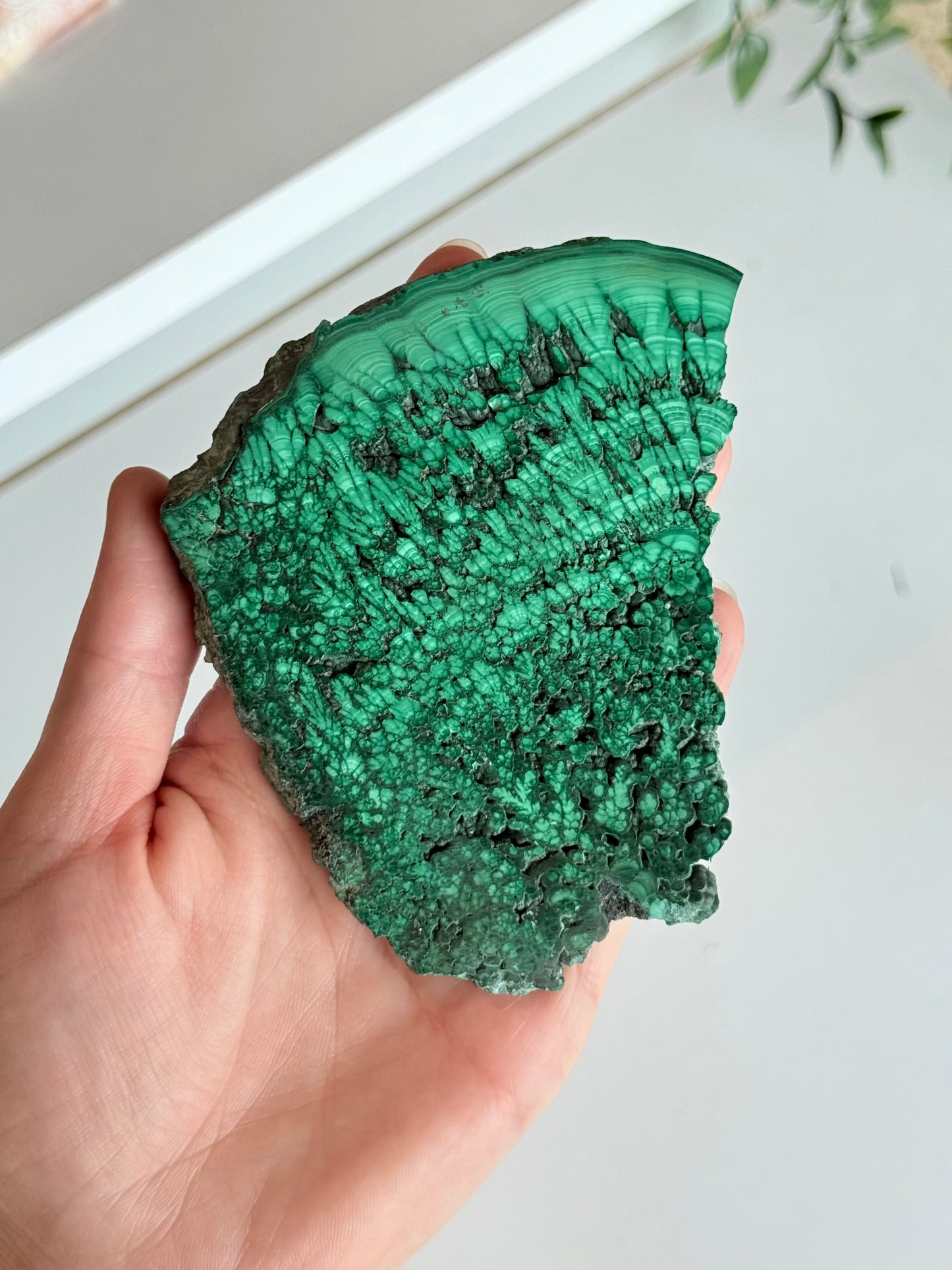 Polished Malachite Slab | Laja Pulida de Malaquita