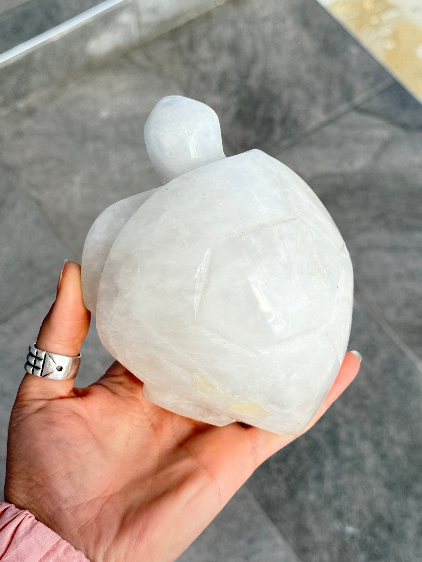 Milk Quartz Turtle (Madagascar )