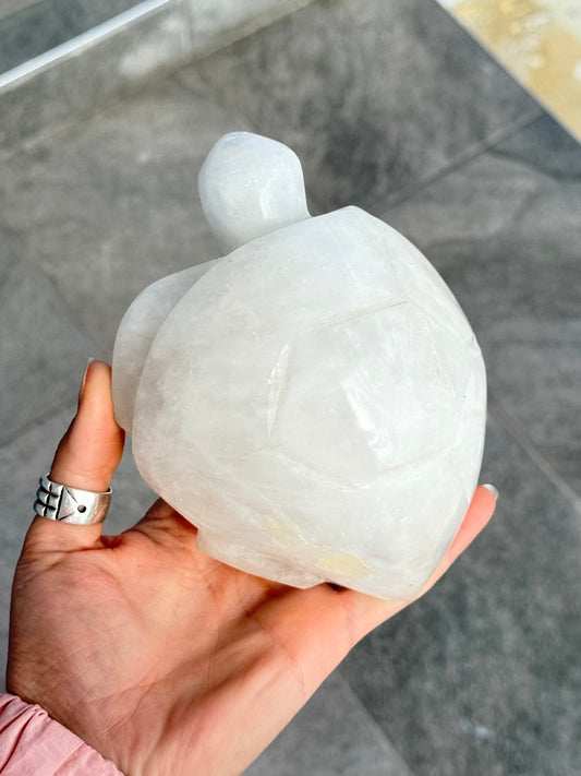 Milk Quartz Turtle (Madagascar )
