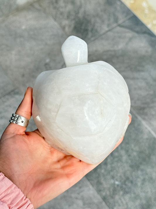 Milk Quartz Turtle (Madagascar )