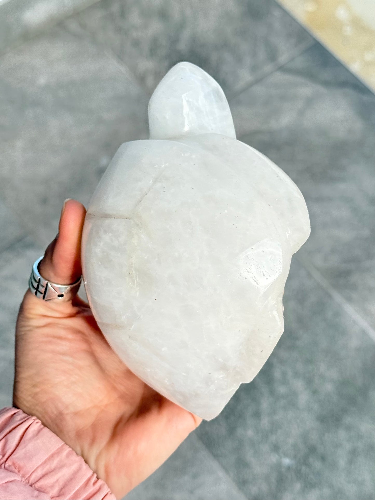 Milk Quartz Turtle (Madagascar )