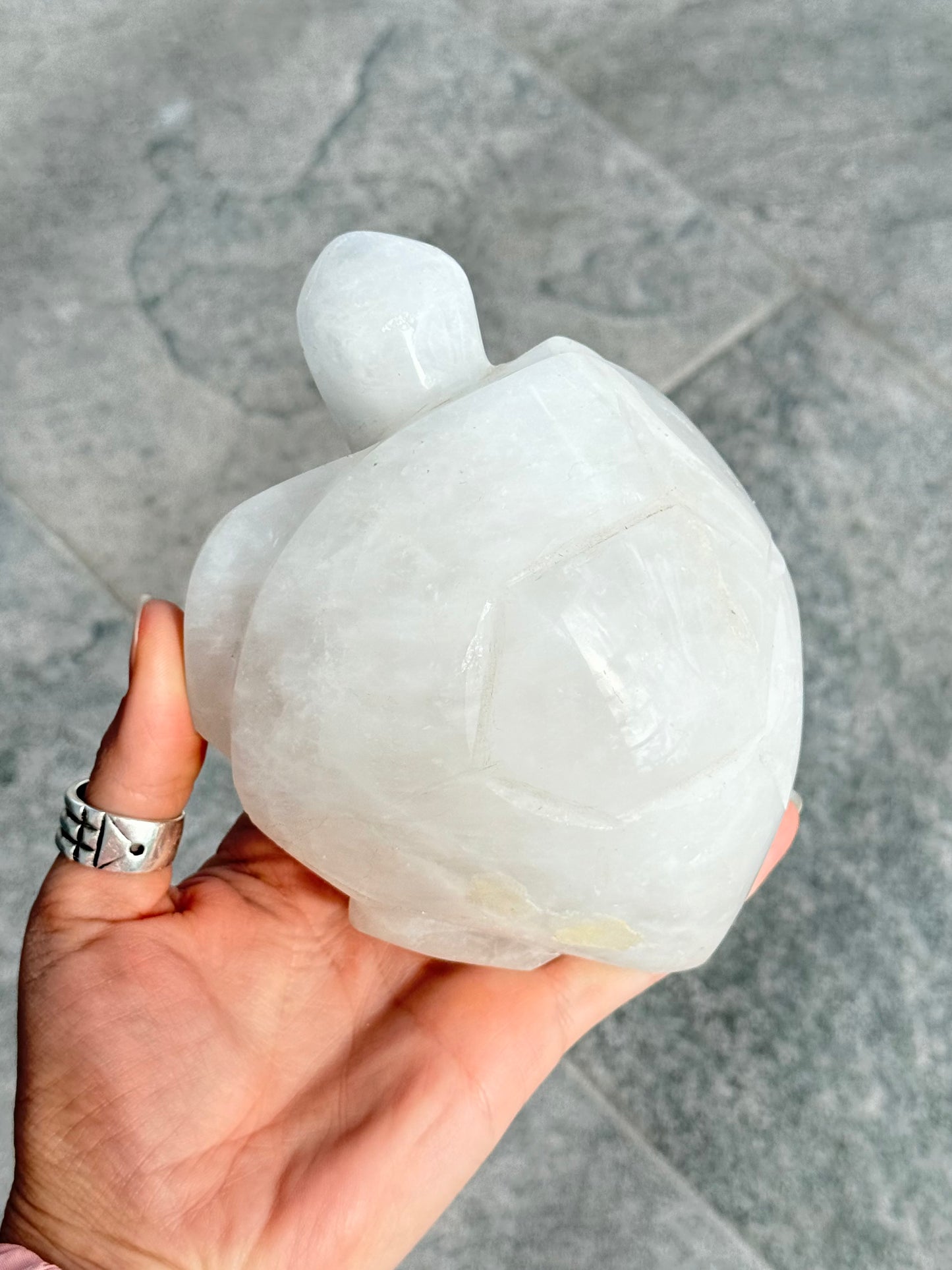 Milk Quartz Turtle (Madagascar )