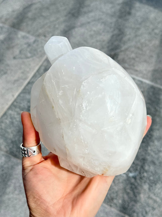 Milk Quartz Turtle (Madagascar )