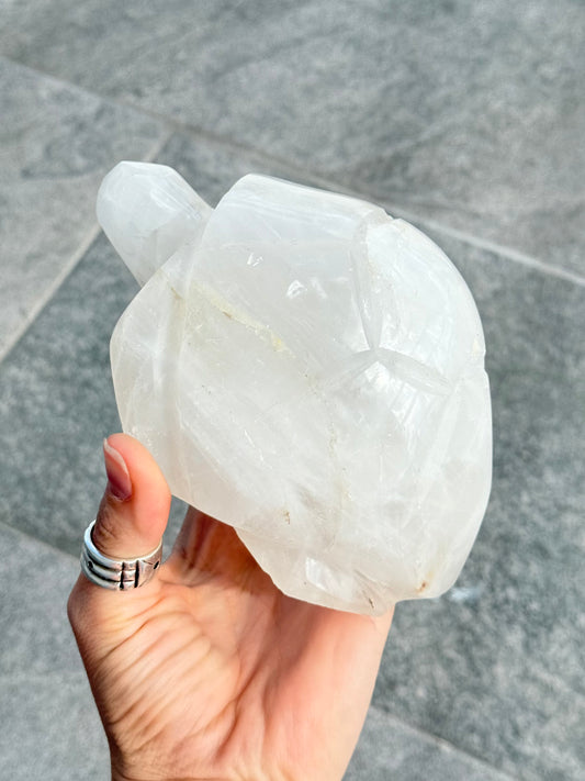 Milk Quartz Turtle (Madagascar )