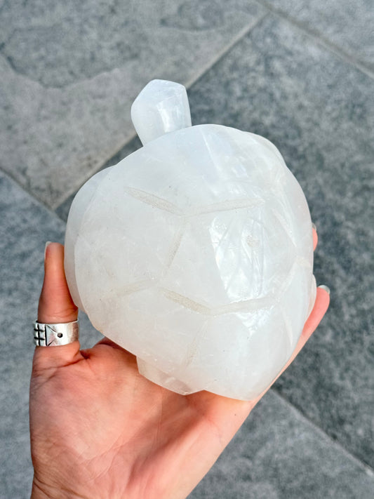Milk Quartz Turtle (Madagascar )