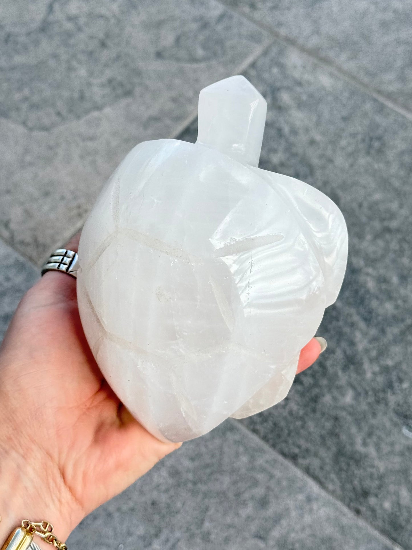 Milk Quartz Turtle (Madagascar )