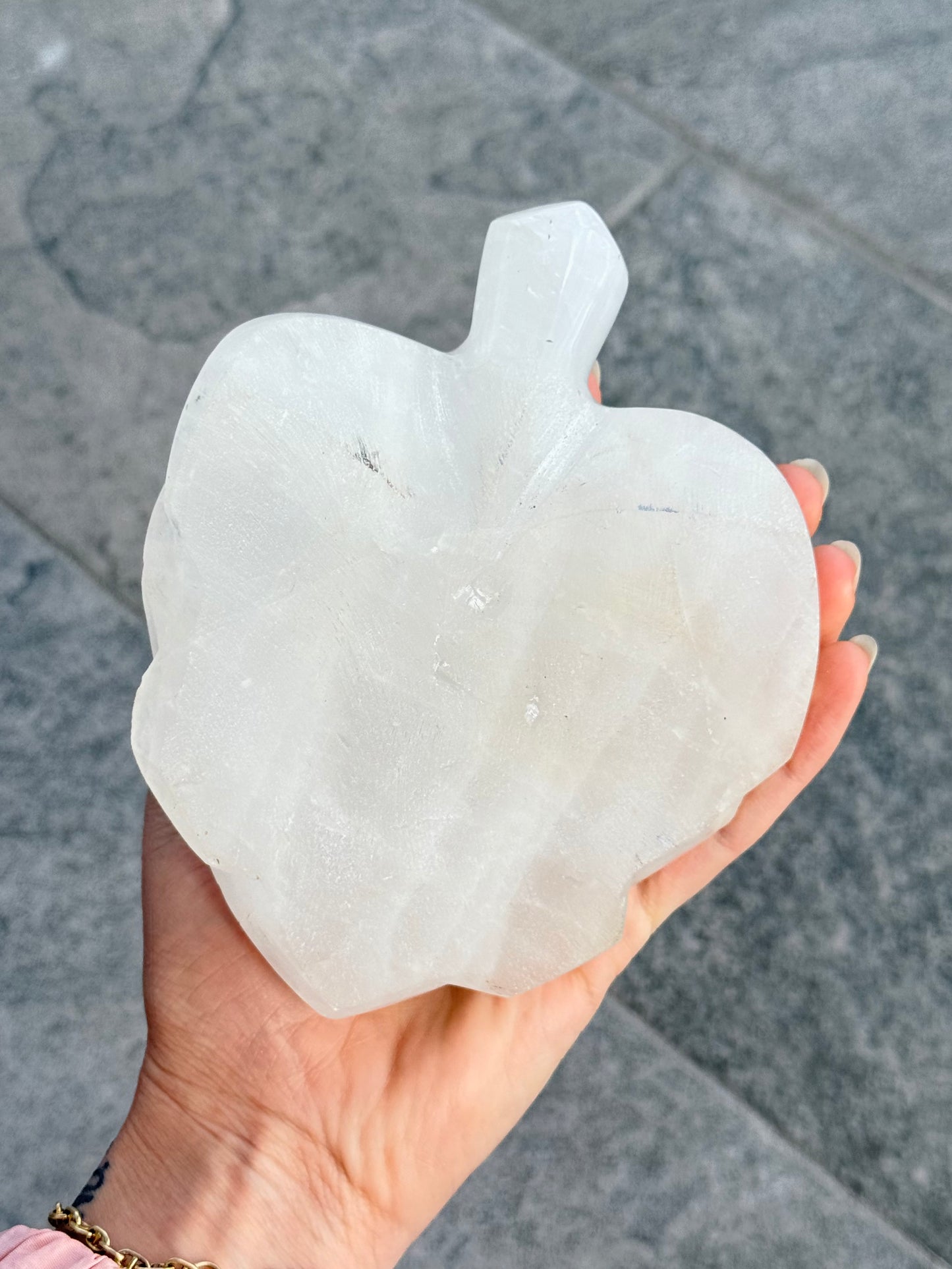 Milk Quartz Turtle (Madagascar )