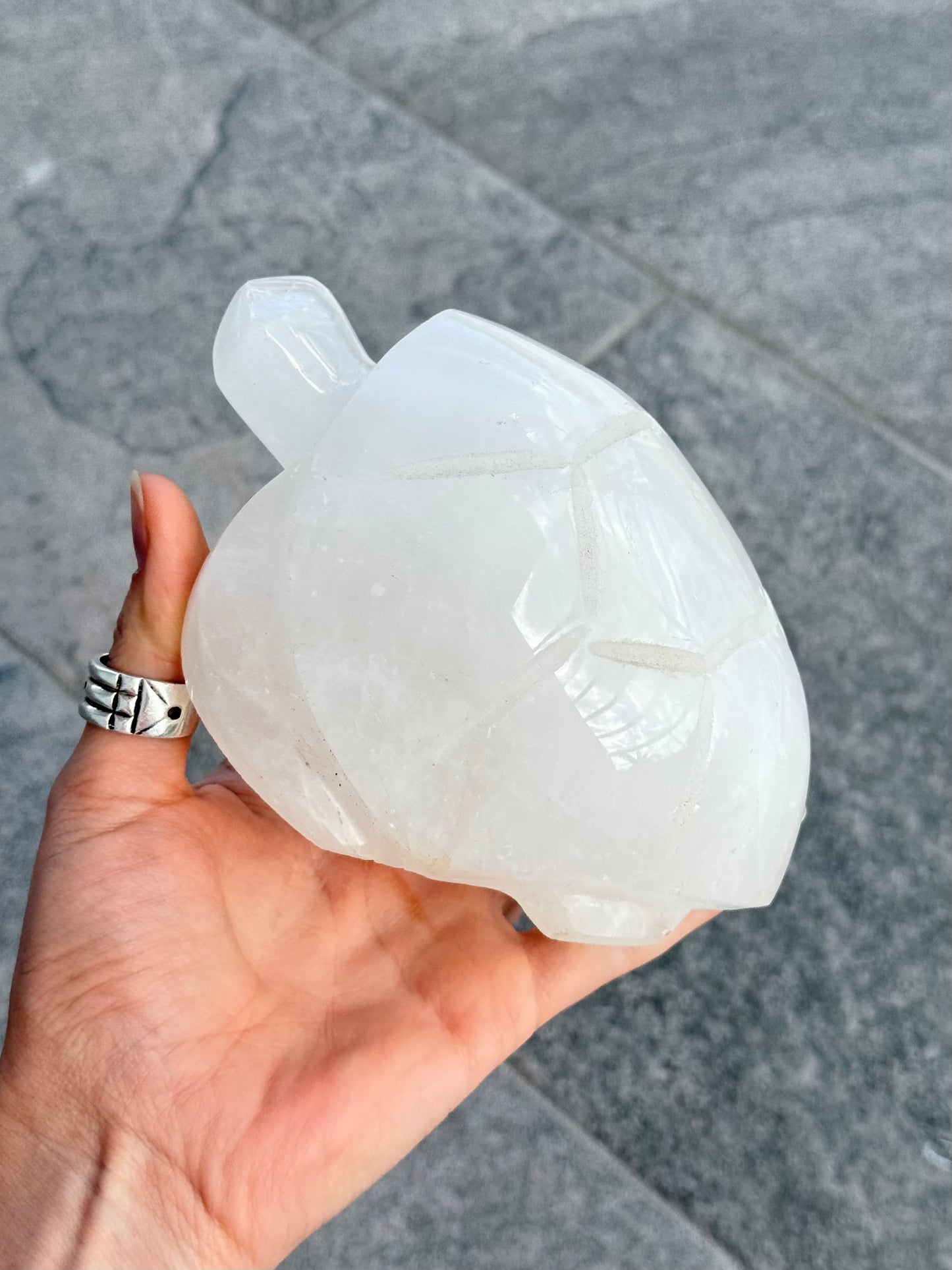 Milk Quartz Turtle (Madagascar )