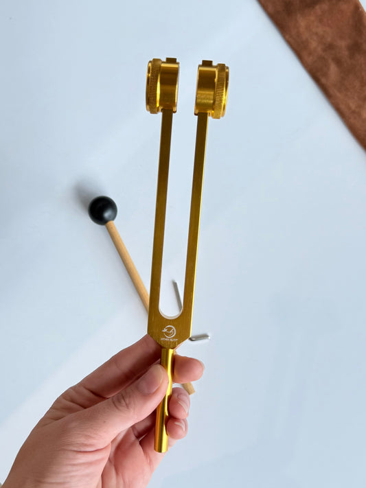 Tuning Fork