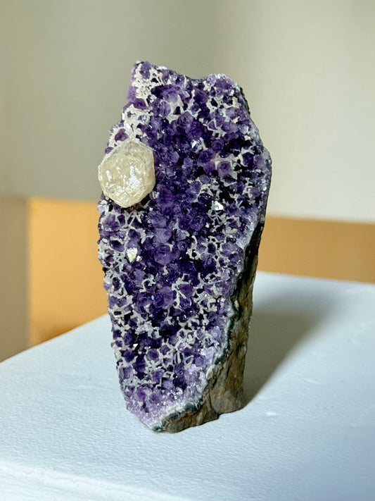 Natural Amethyst Cluster | Cluster Natural de Amatista ( Brazil )