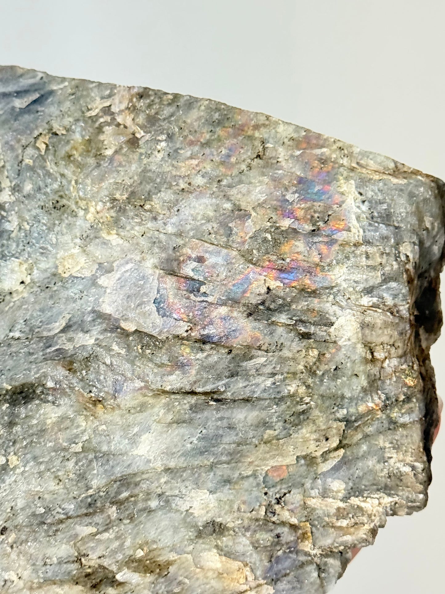 Polished and Raw Labradorite | Labradorita Pulida y Cruda