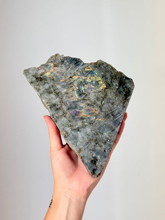 Polished and Raw Labradorite | Labradorita Pulida y Cruda