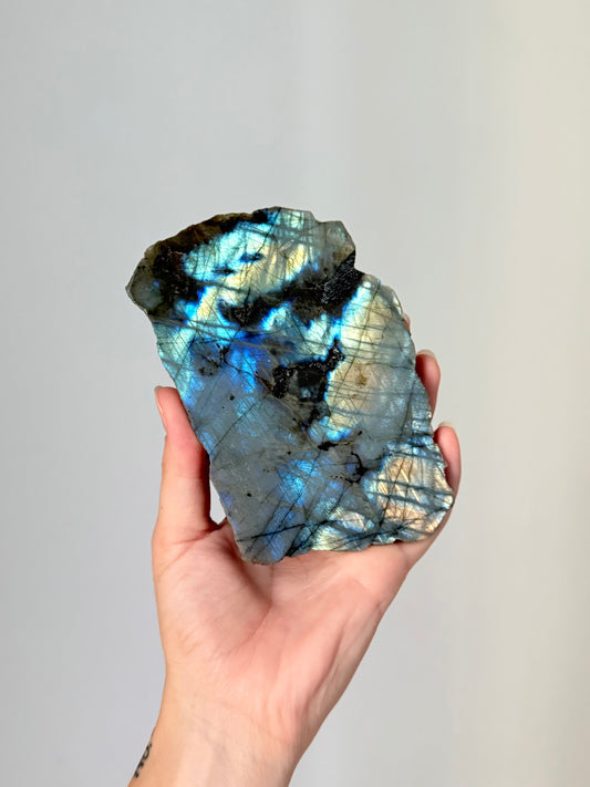Polished and Raw Labradorite | Labradorita Pulida y Cruda