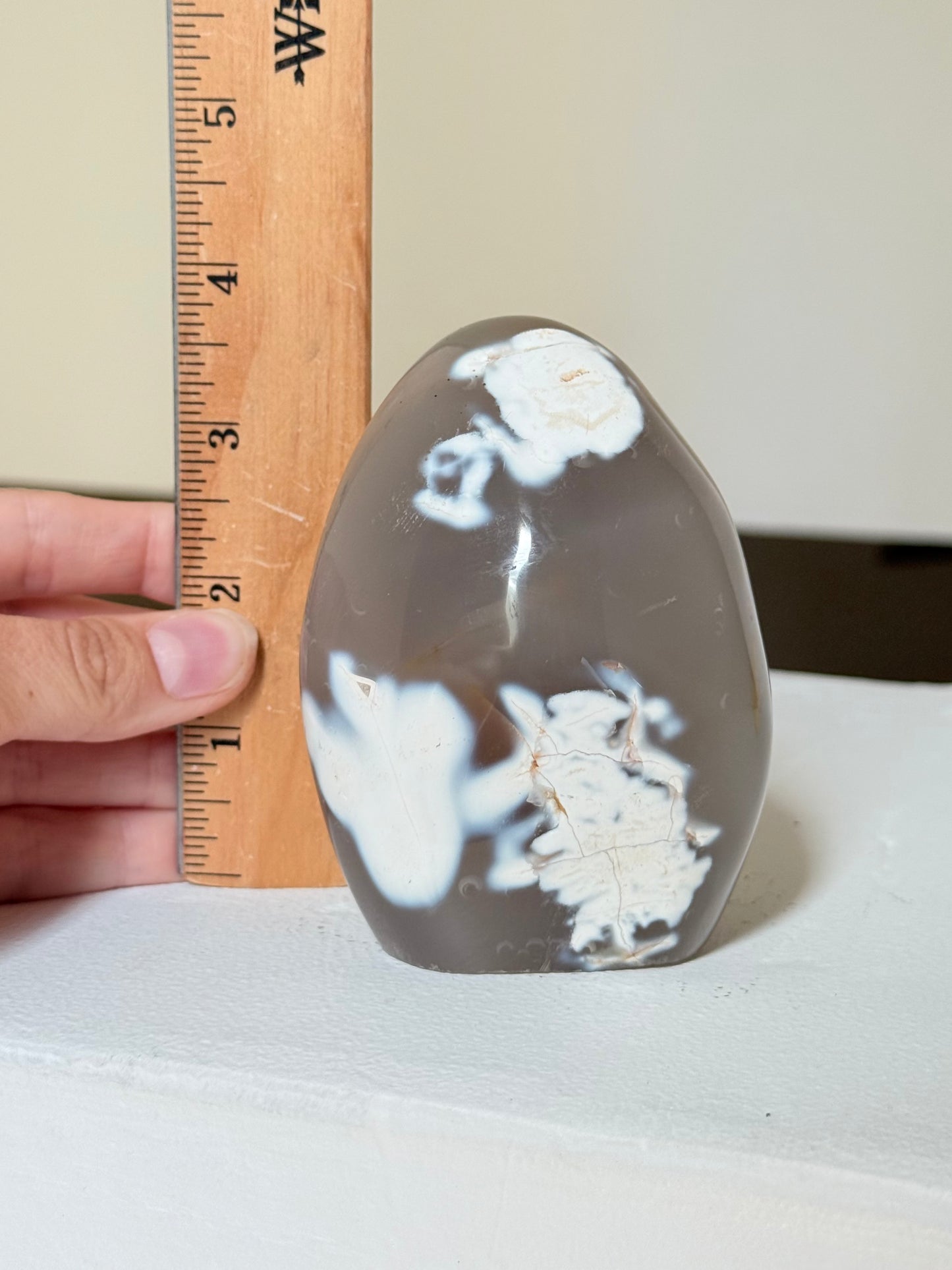 Orca Agate | Ágata Orca