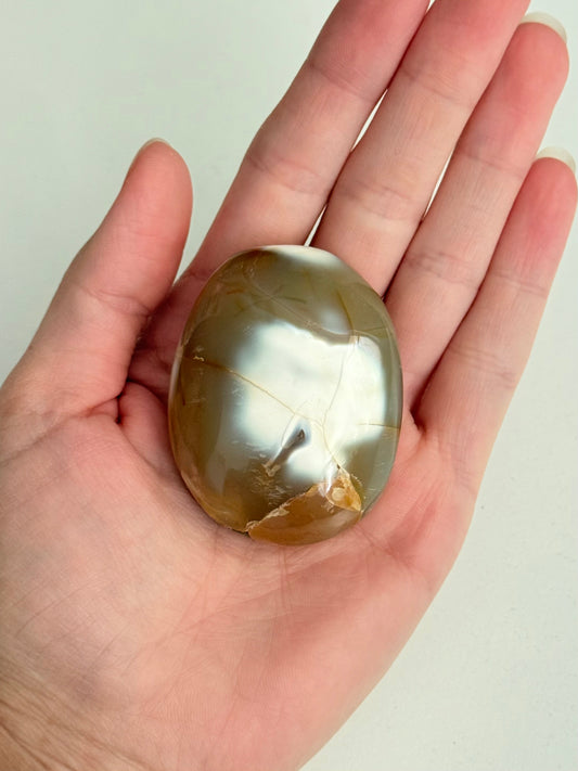 Orca Agate Palm Stone | Palm Stone de Ágata Orca ( Small )