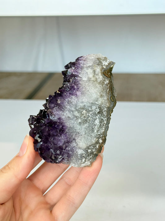 Amethyst ( Uruguay )