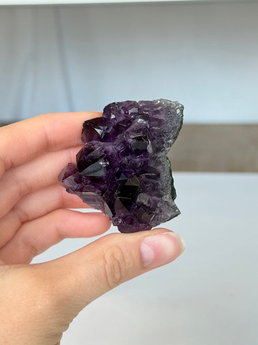 Amethyst ( Uruguay )