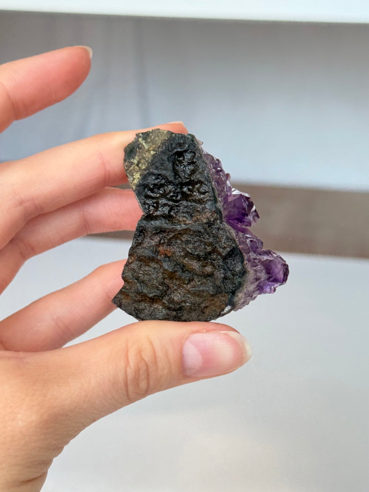 Amethyst ( Uruguay )