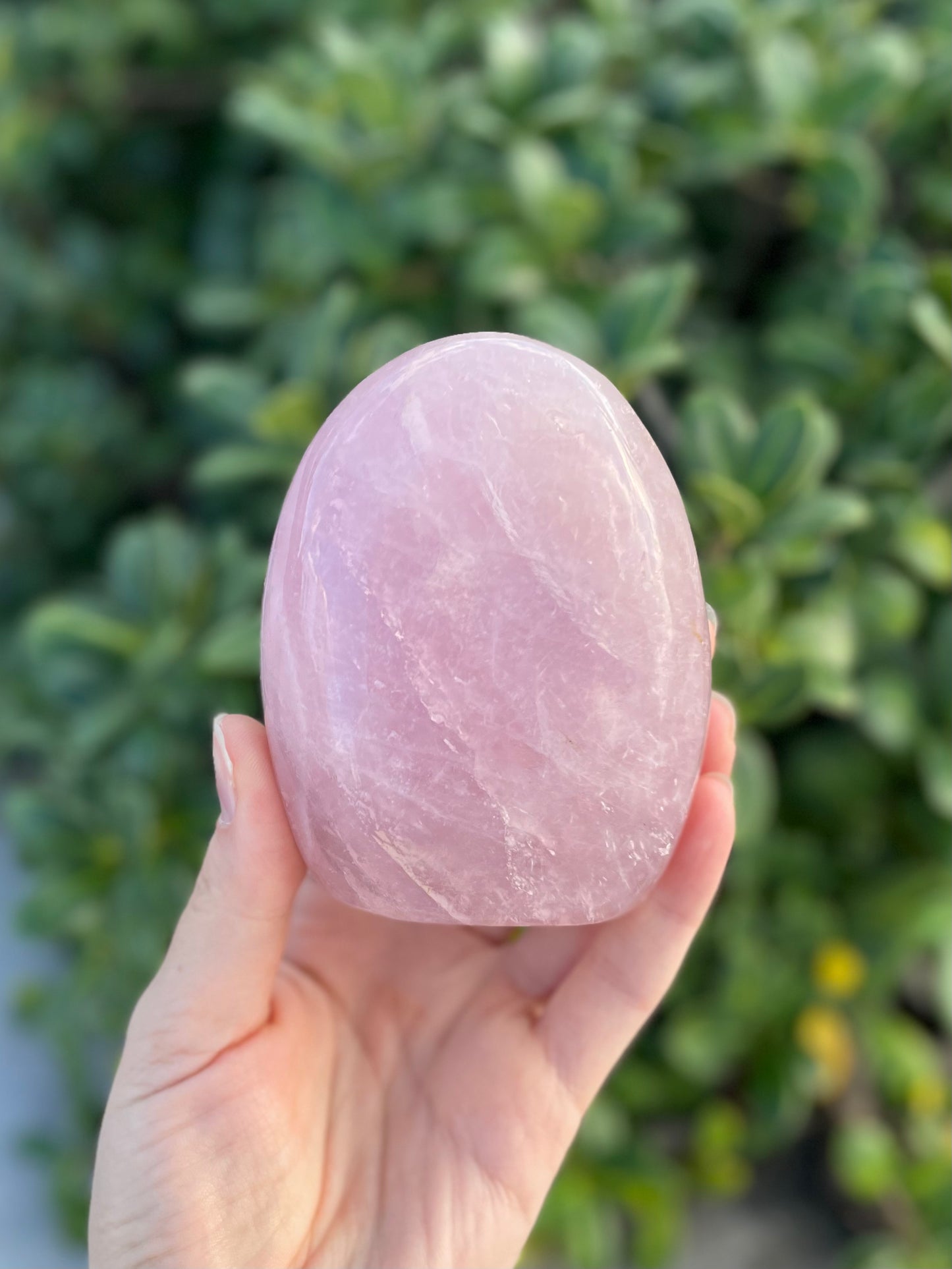 Rose Quartz Freeform