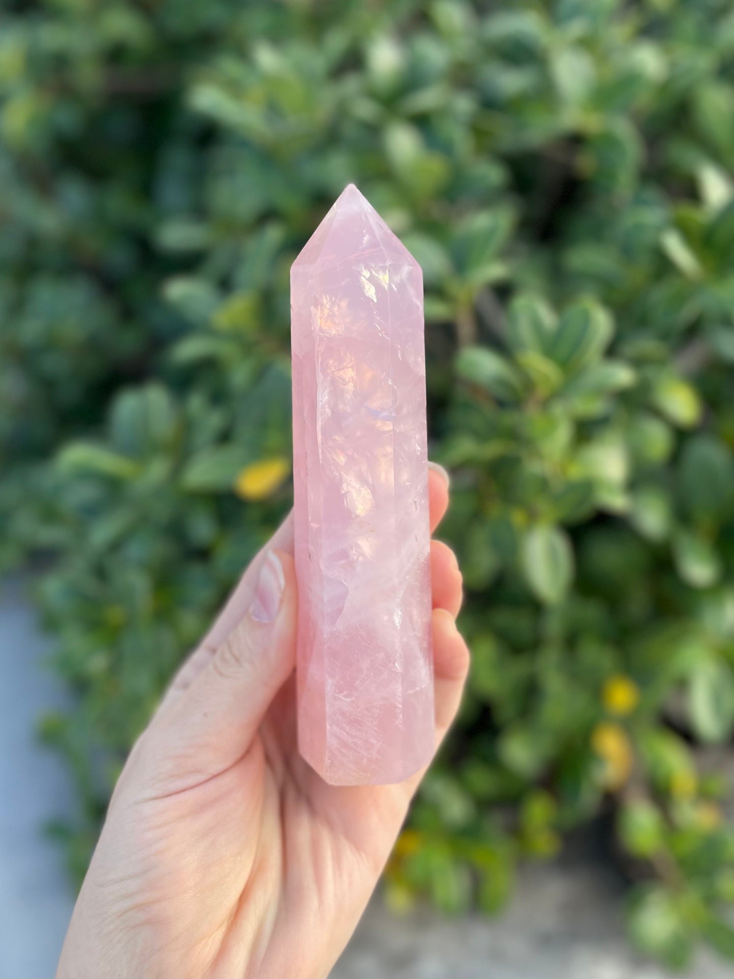 Rose Quartz