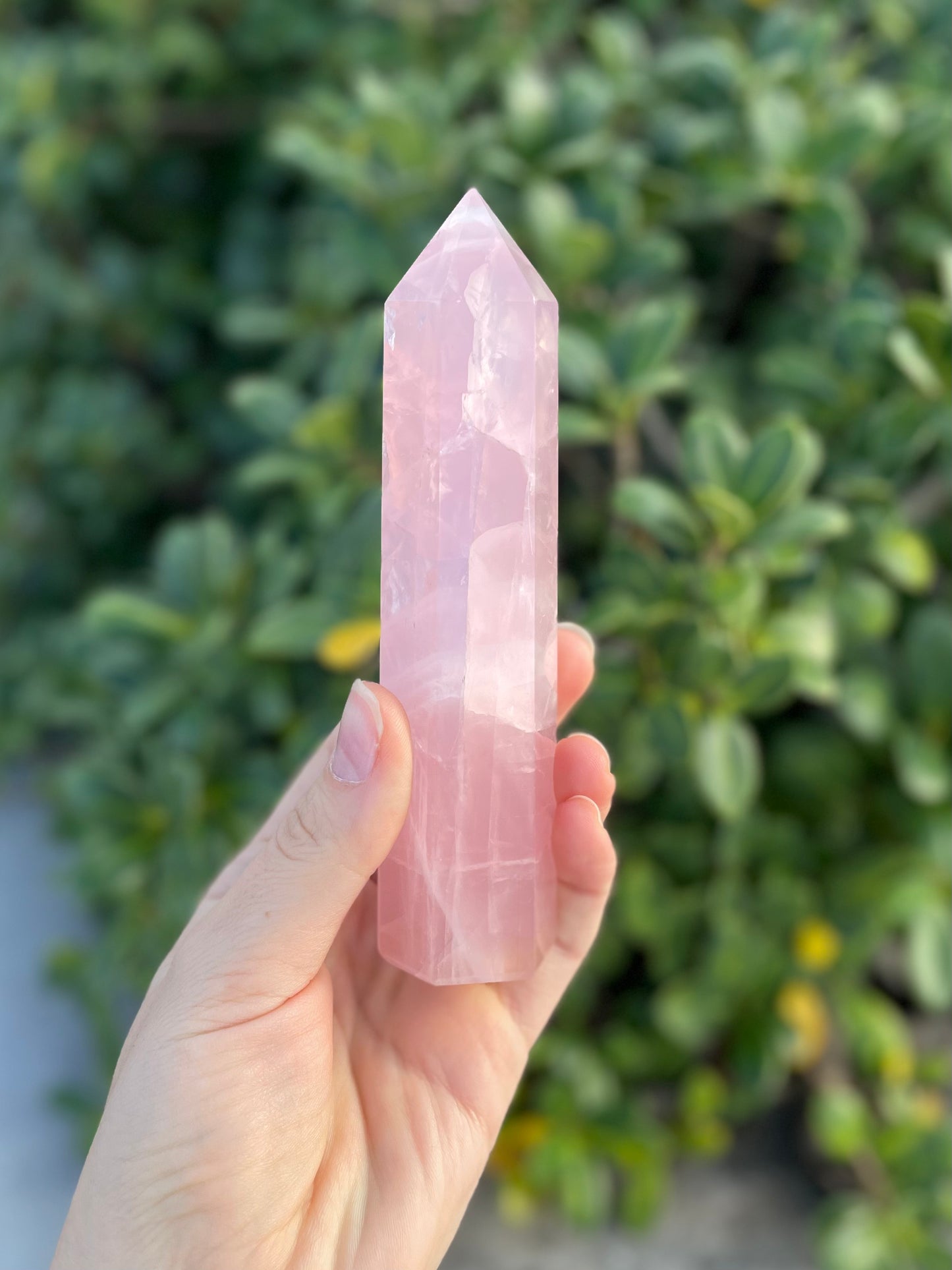 Rose Quartz