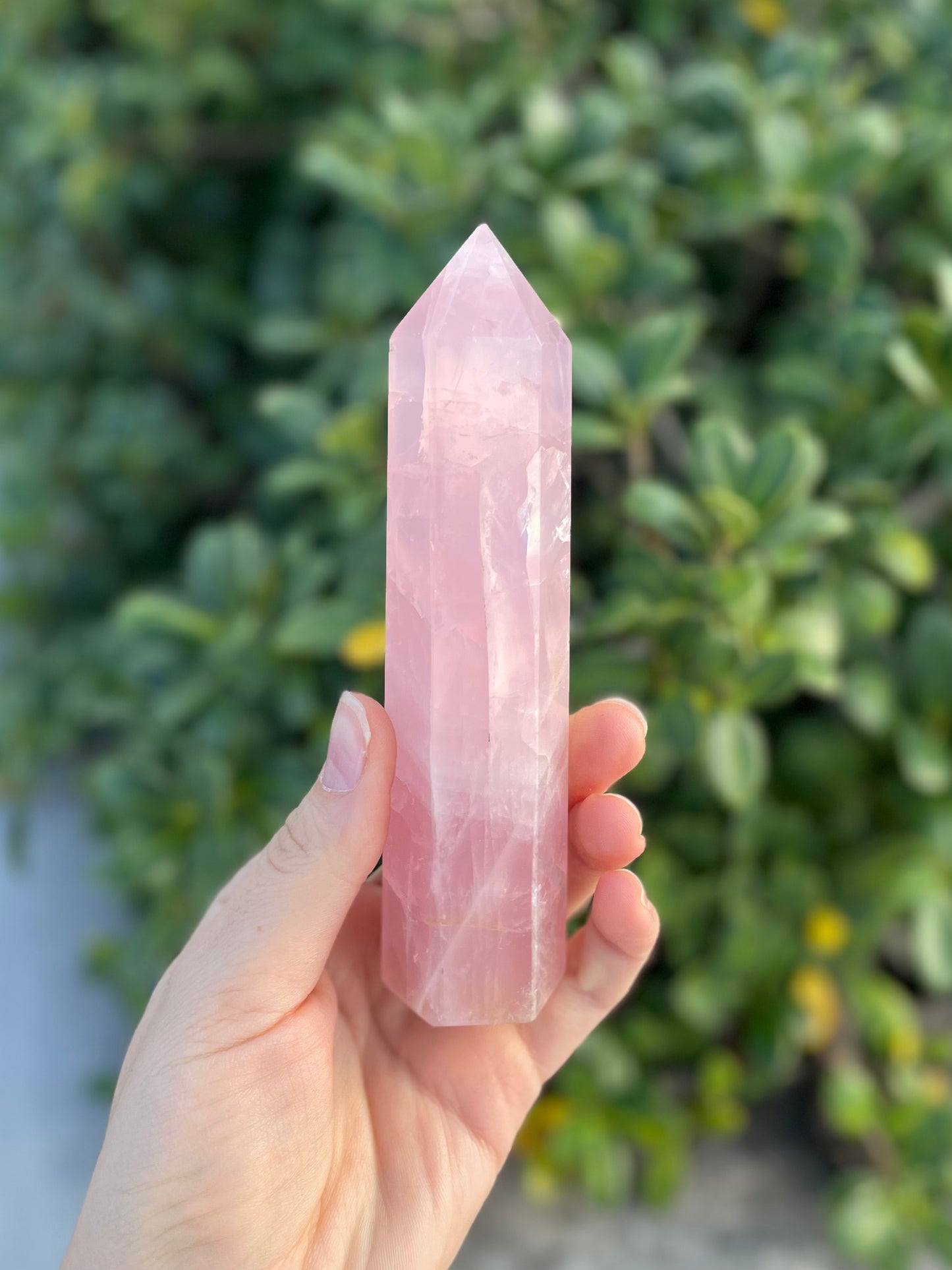 Rose Quartz