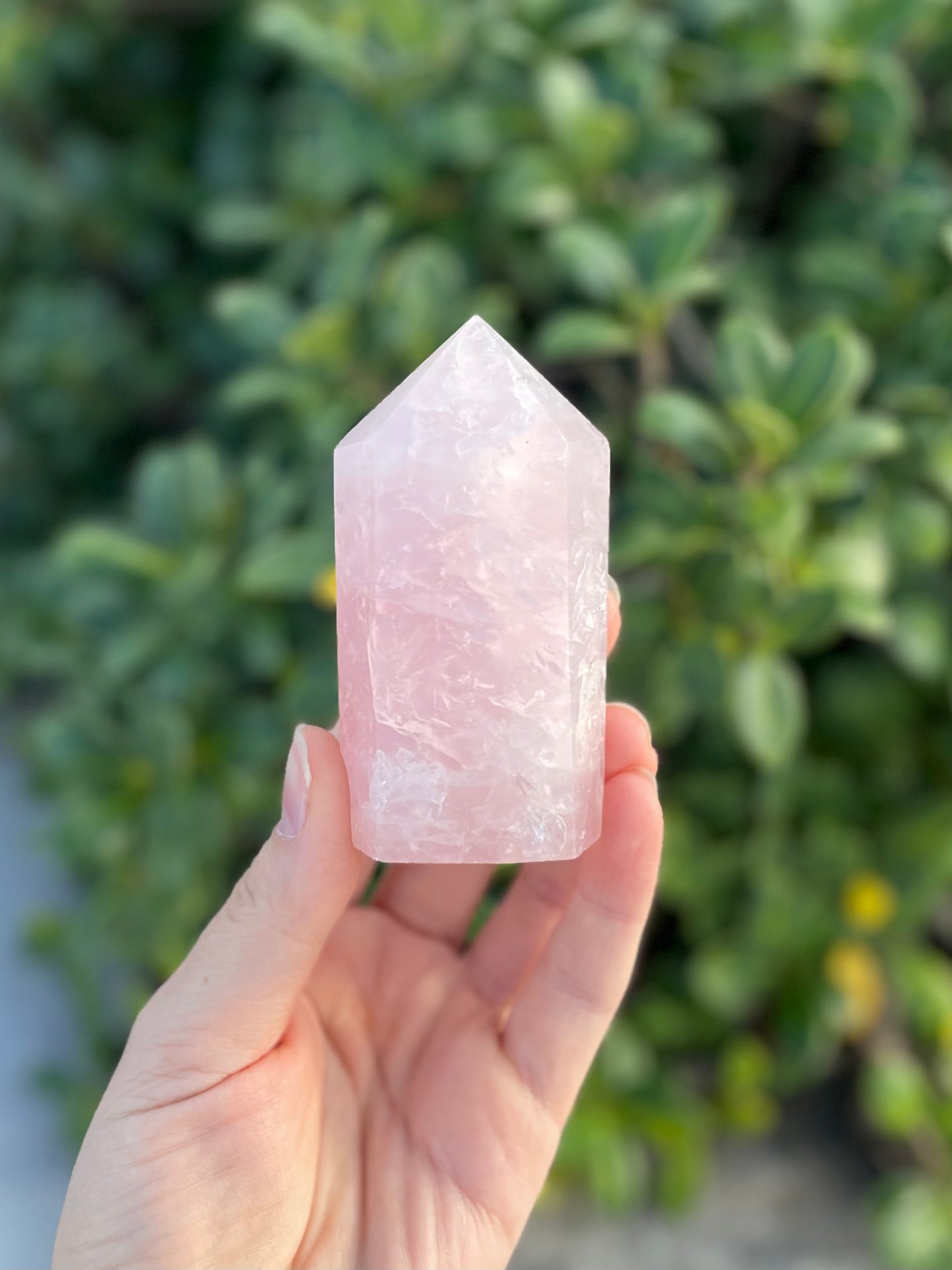 Rose Quartz