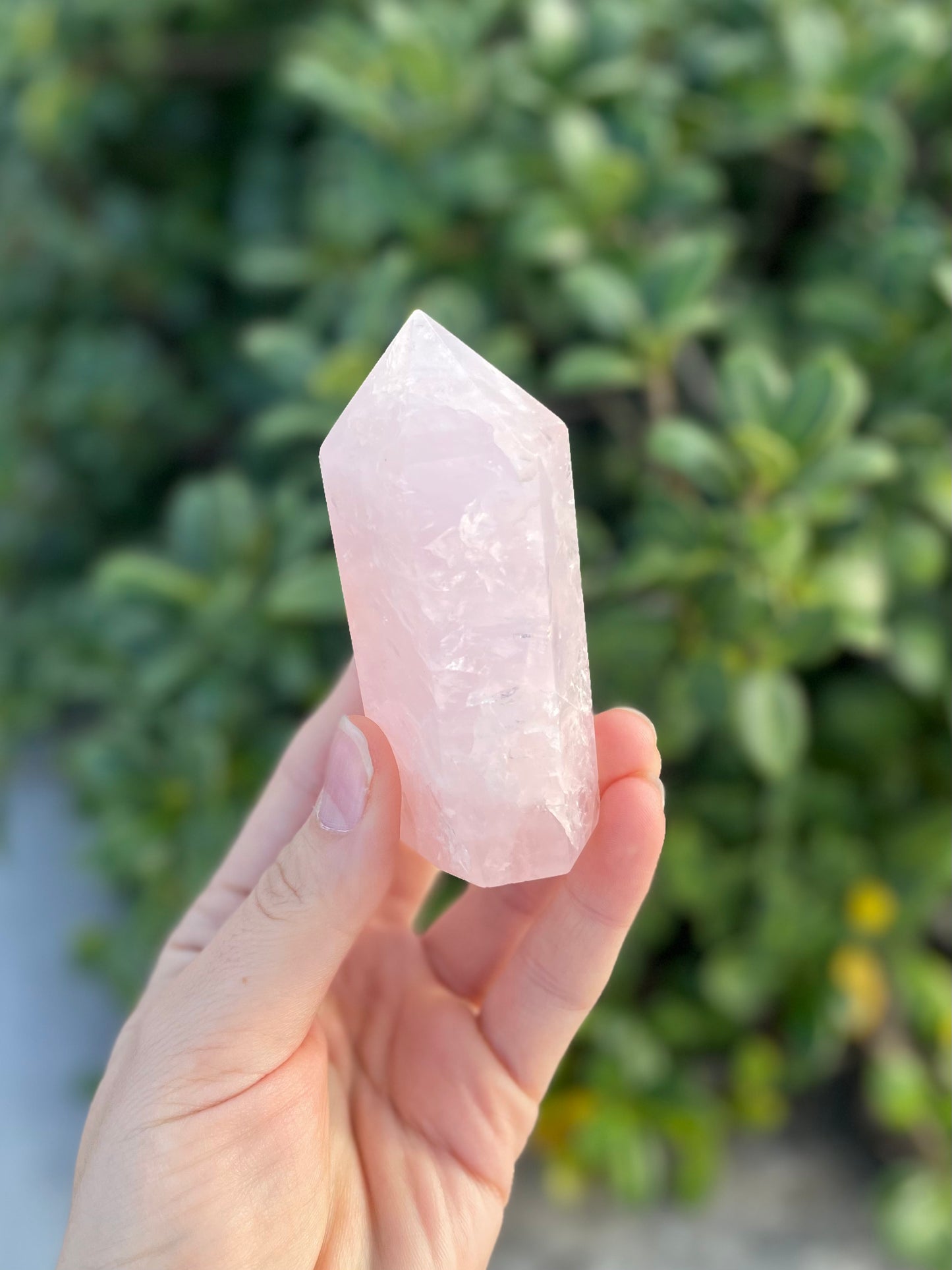 Rose Quartz