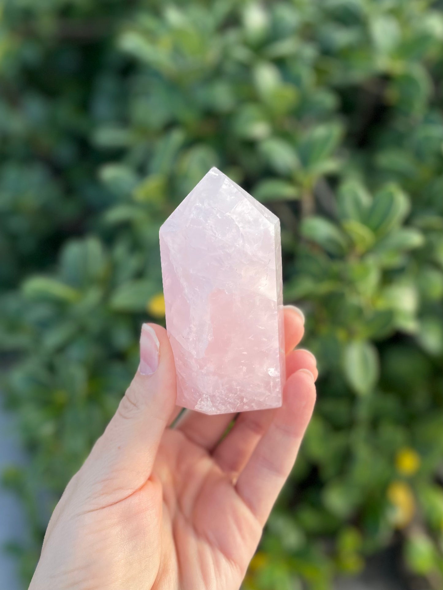 Rose Quartz