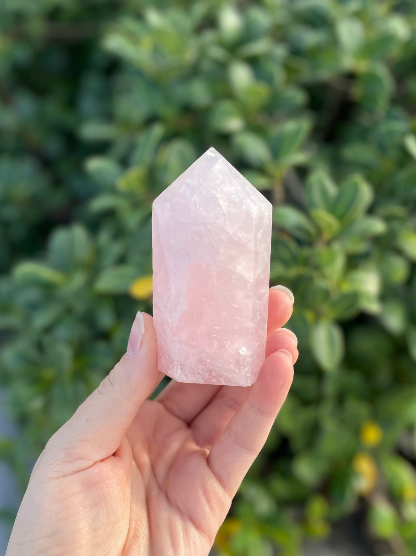 Rose Quartz